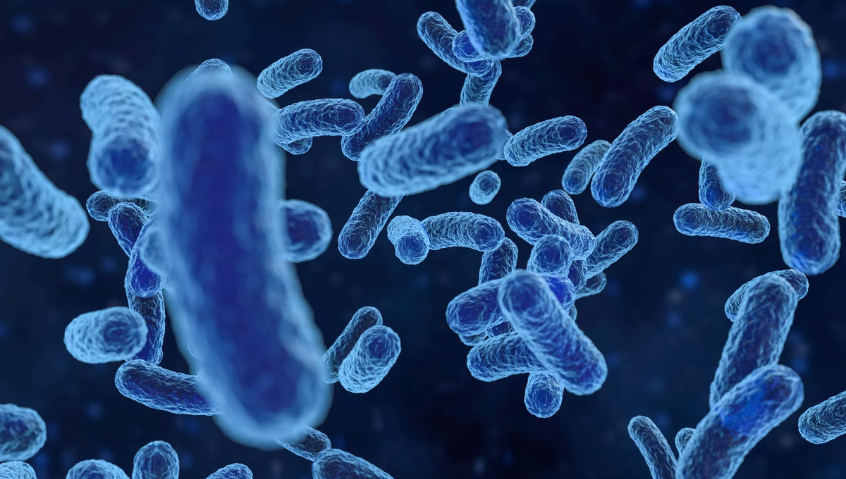 Những điều cần biết về ngộ độc botulinum